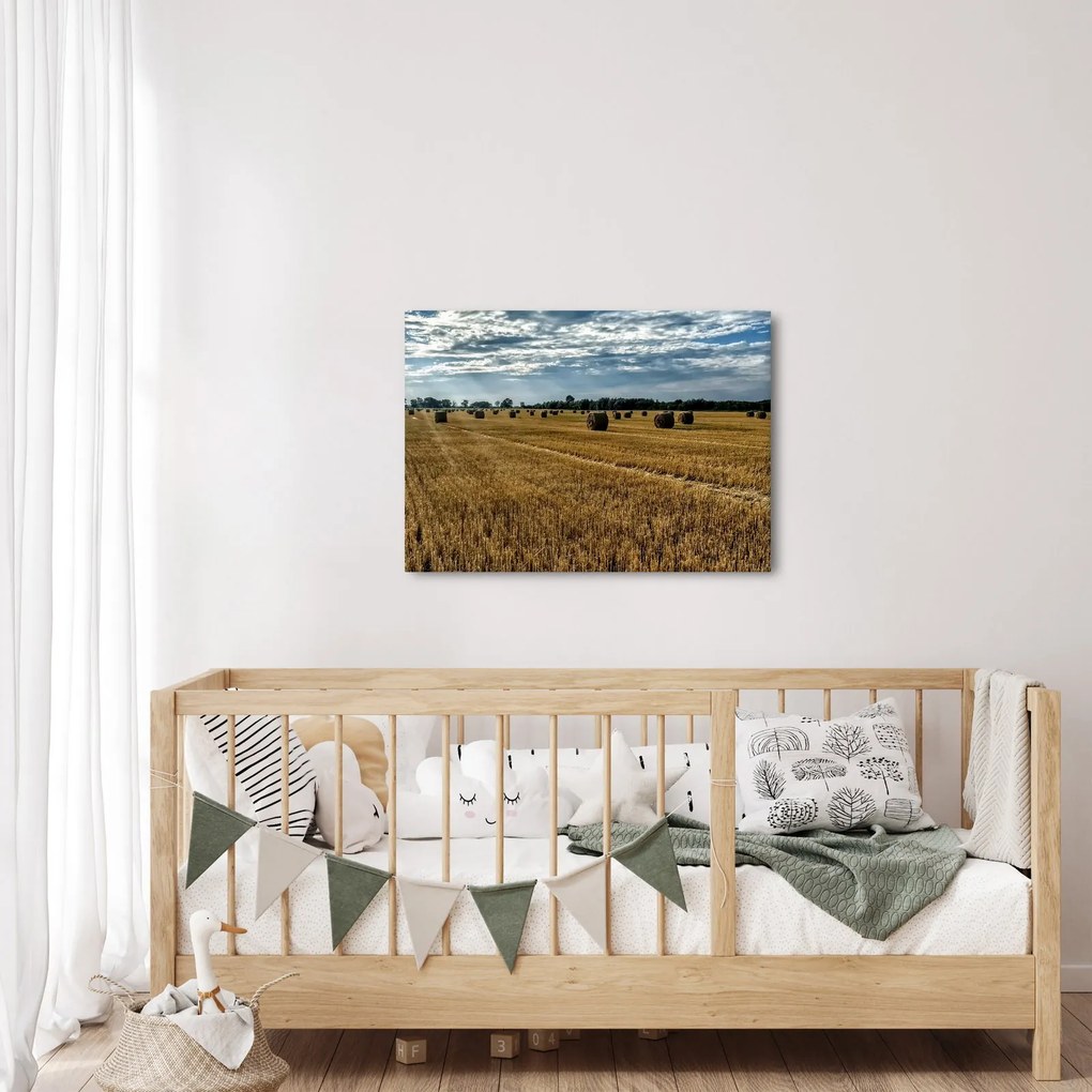 Obraz zozbieraného obilného poľa (70x50 cm)