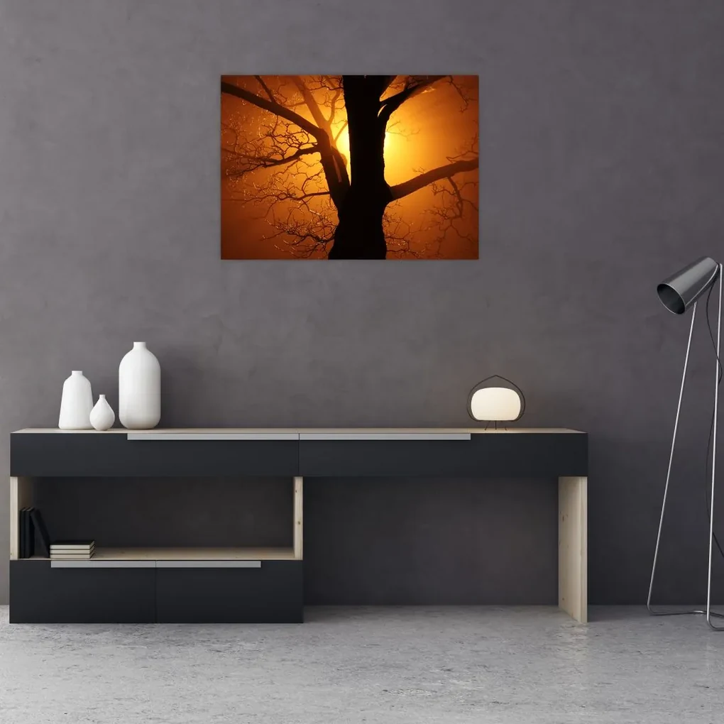 Sklenený obraz stromu pri západe slnka (70x50 cm)