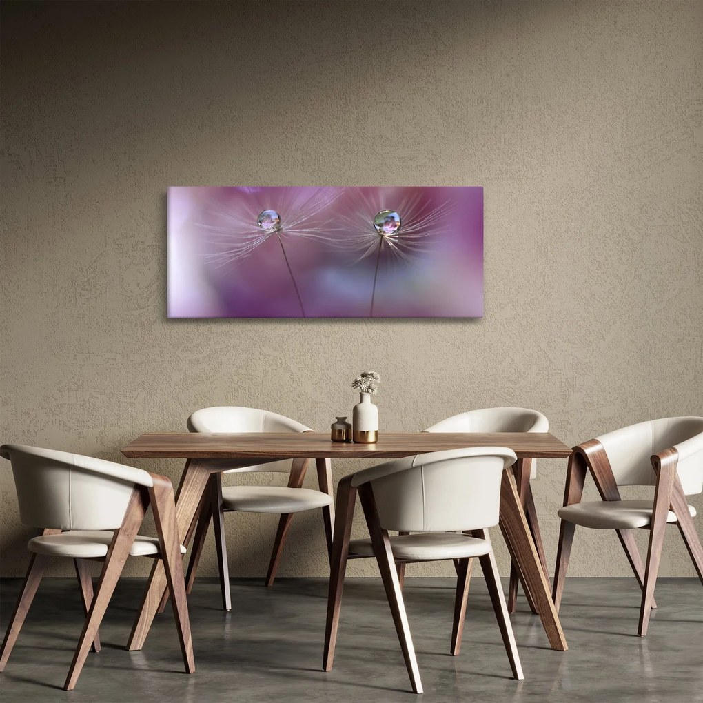 Obraz kvapôčok na páperí (120x50 cm)