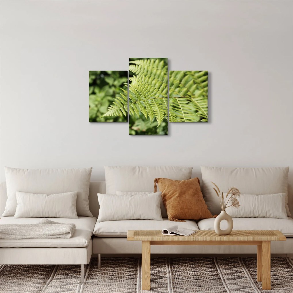 Obraz - Papradinový list (90x60 cm)