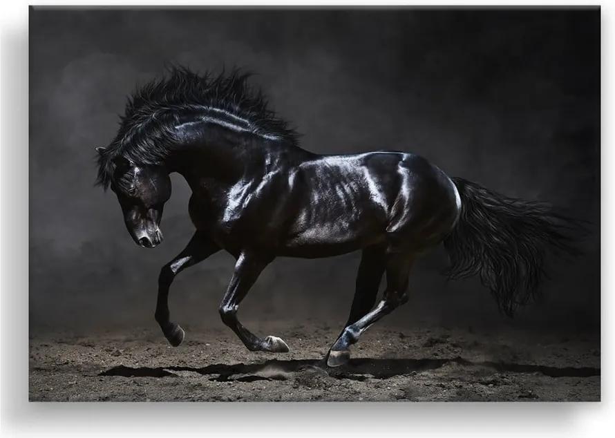 Obraz Styler Canvas Silver Uno Horse, 85 × 113 cm