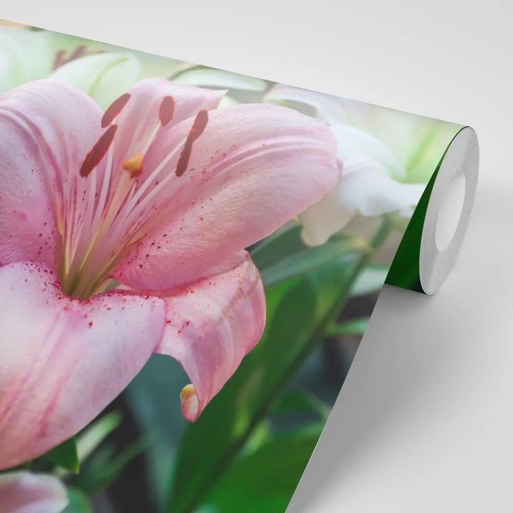 Samolepiaca fototapeta ružová ľalia v rozkvete - 150x100