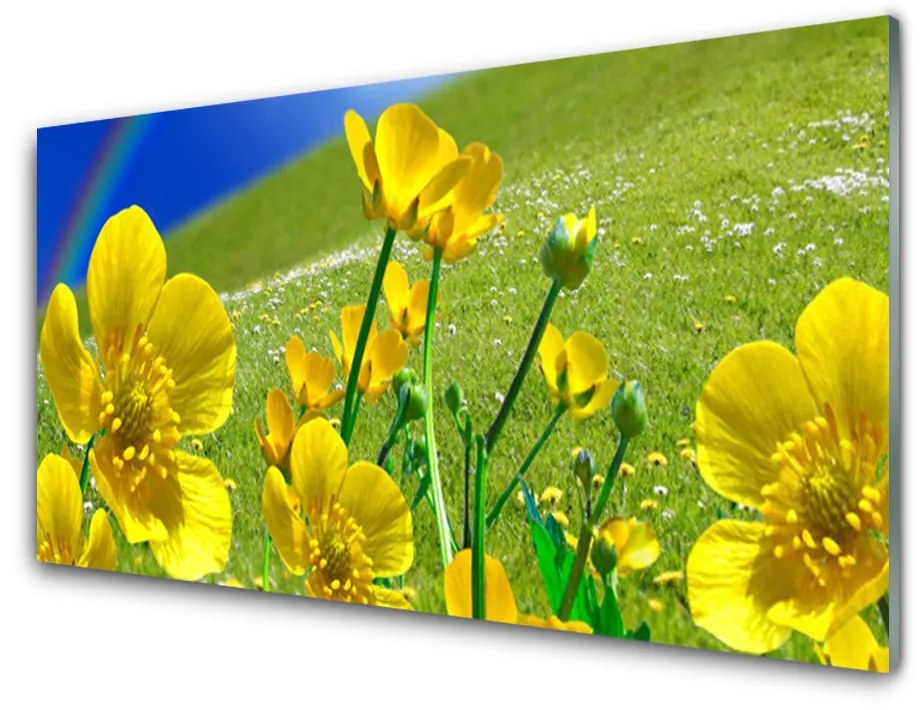 Obraz na akrylátovom skle Lúka kvety dúha príroda 100x50 cm