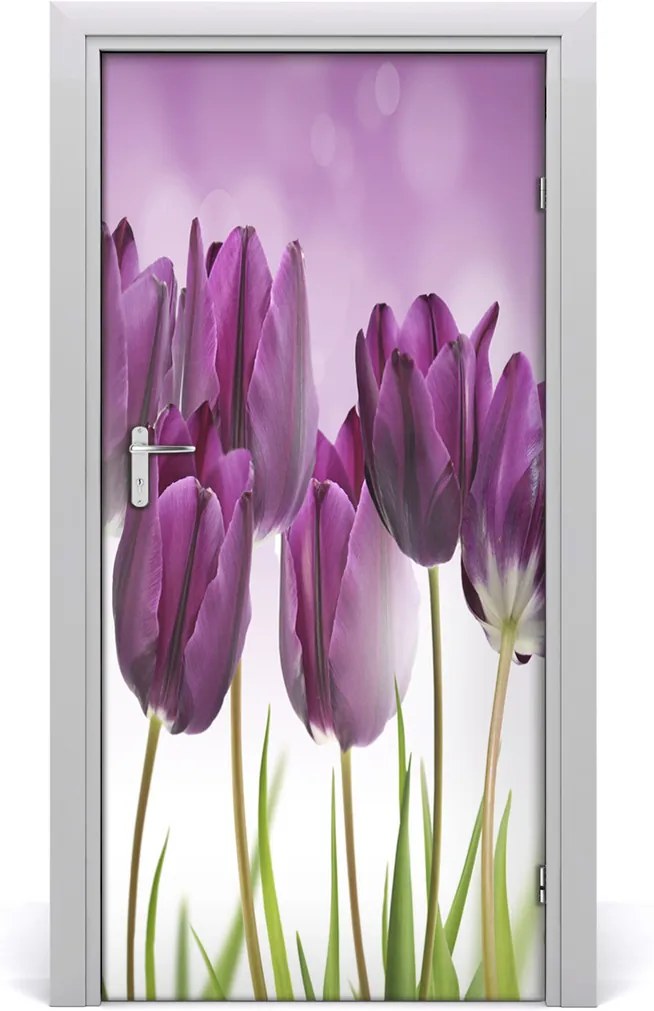 Fototapeta samolepiace  fialové tulipány