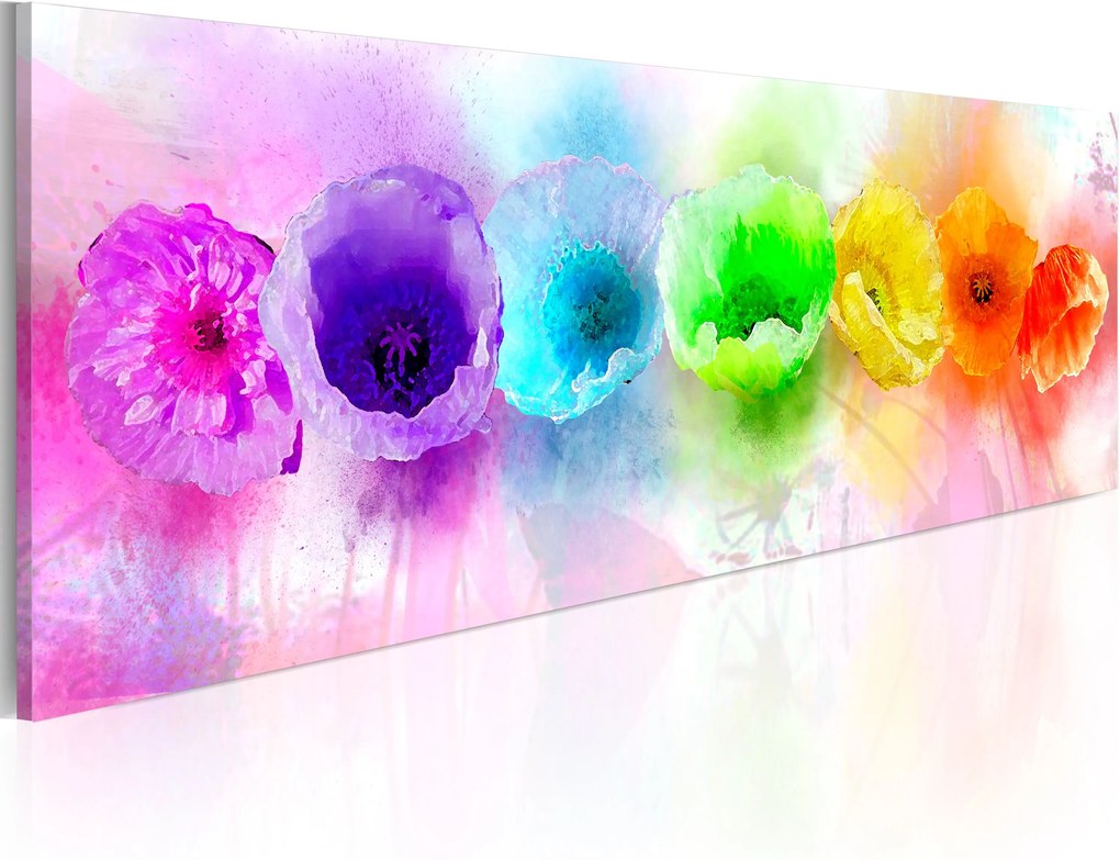Obraz - Rainbow-hued poppies 120x40