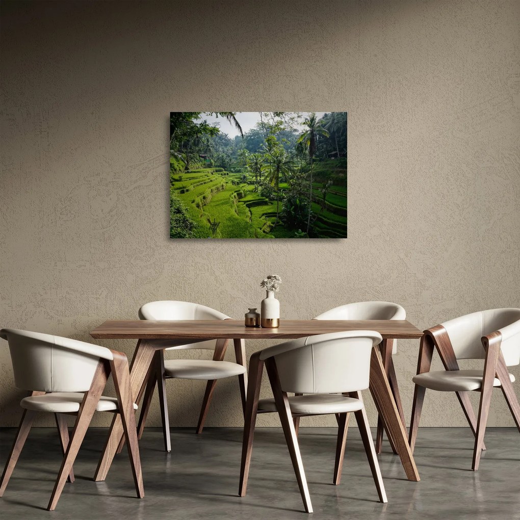 Sklenený obraz ryžových terás Tegalalang, Bali (70x50 cm)
