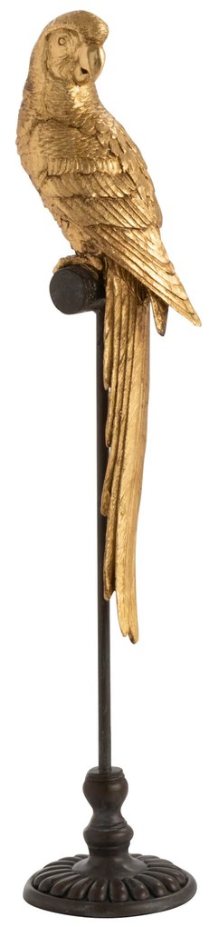 Papagáj na podstavci Variant: Veľký