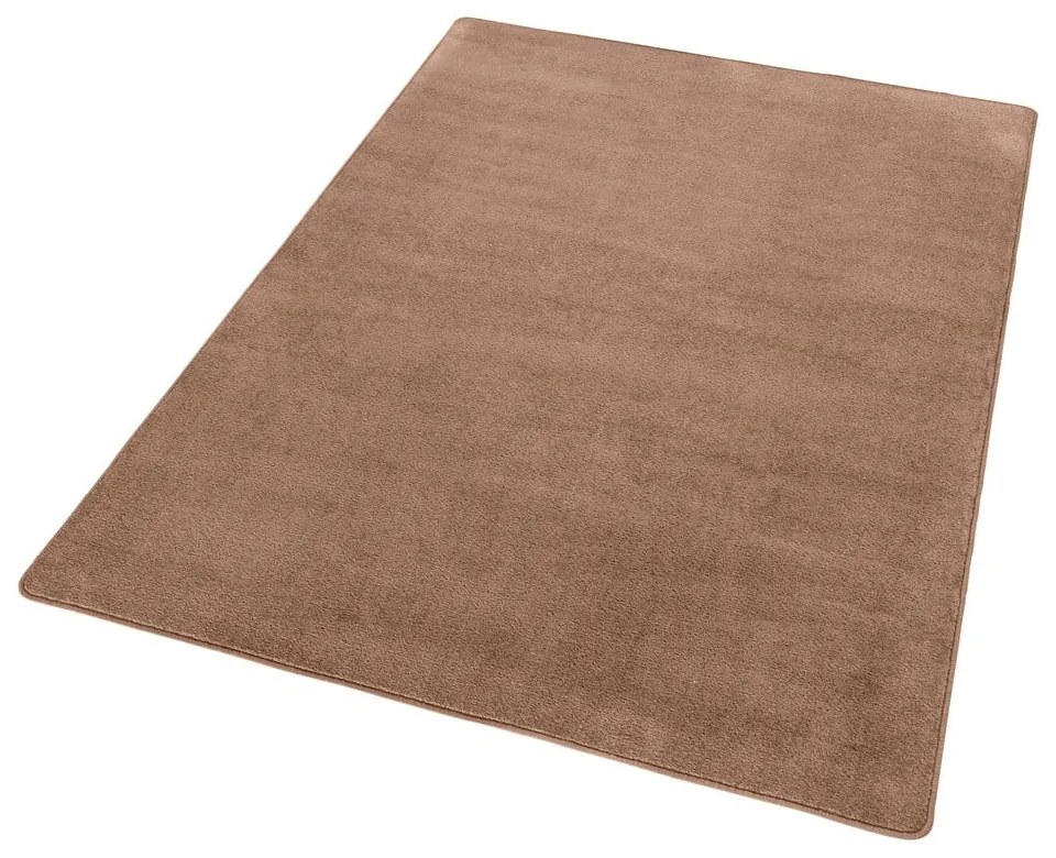 Hnedý koberec 80x150 cm Fancy – Hanse Home