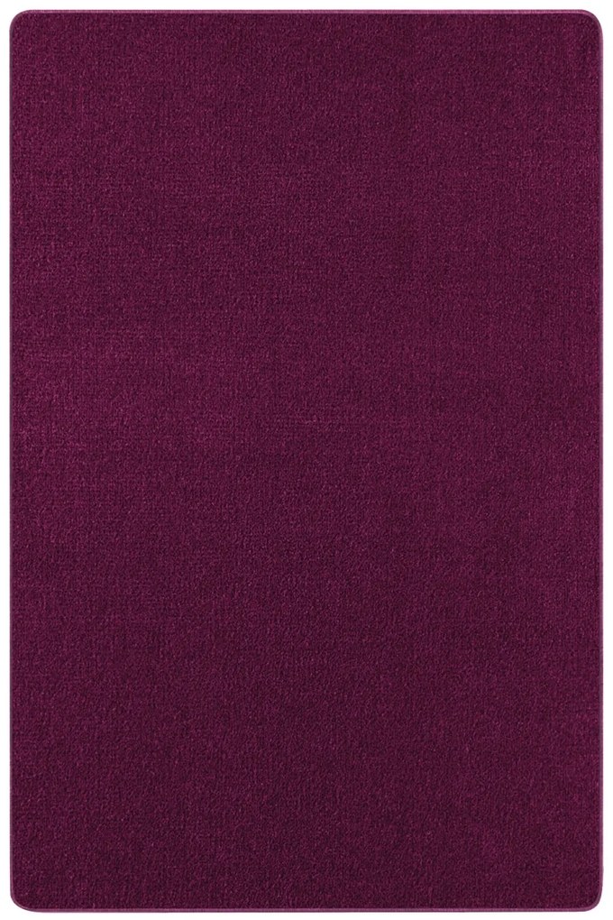 Kusový koberec Nasty 102368 Blackberry, 140x200, fialová, chodba / predsieň, Hanse Home