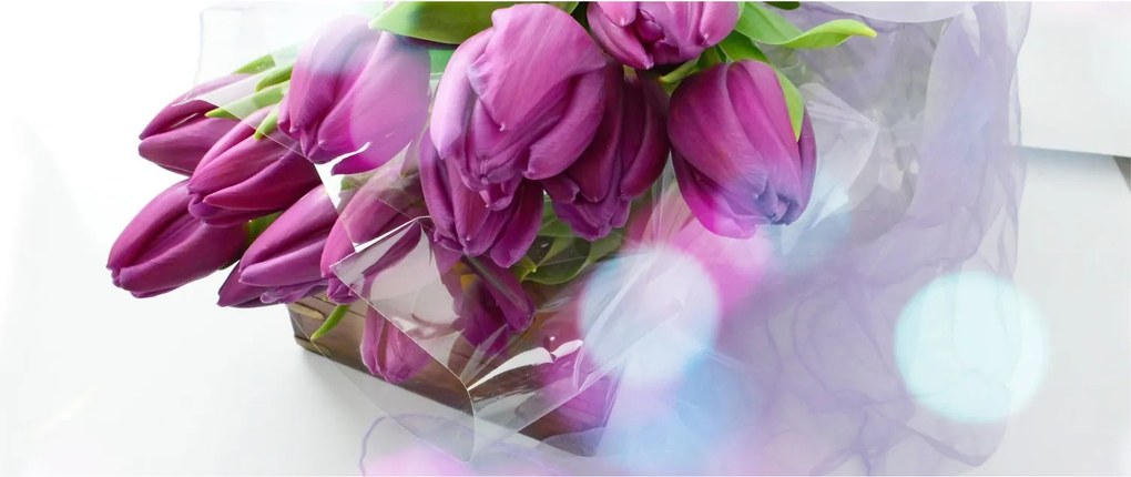 Obraz - kytice tulipánov (120x50 cm)