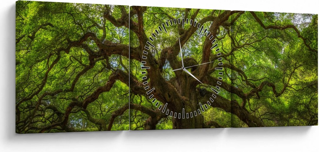 Obraz - Zelený strom (s hodinami) (90x30 cm)