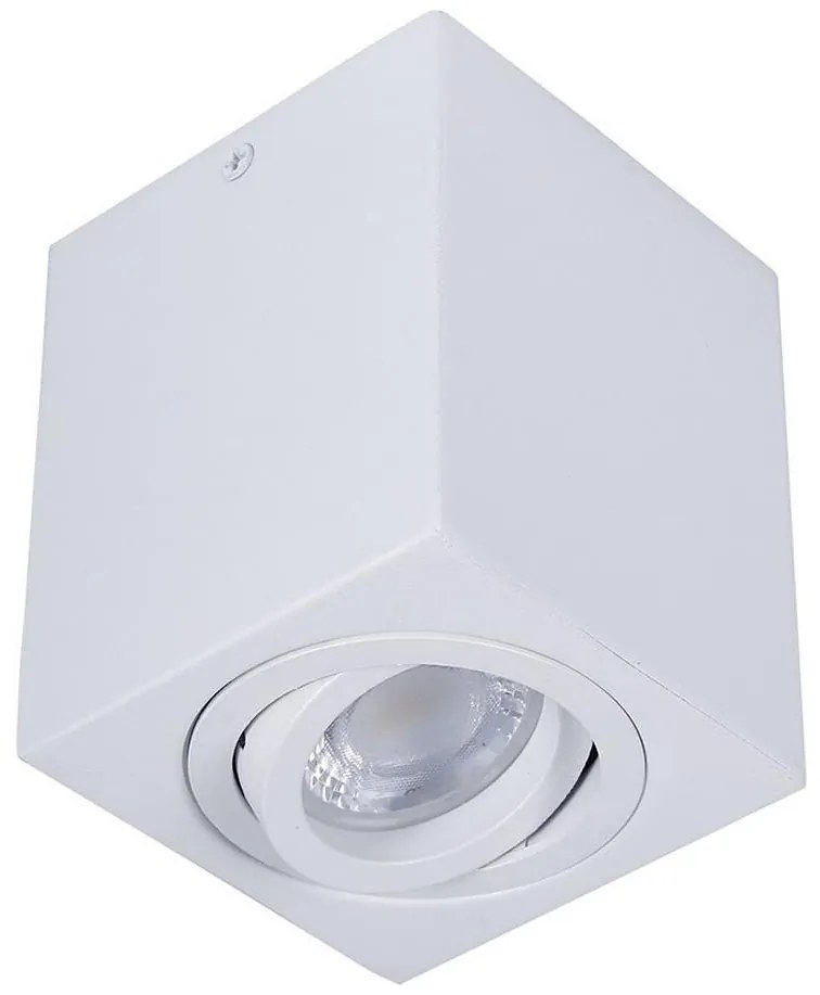 Bodové svietidlo SIN 1xGU10/50W/230V biela