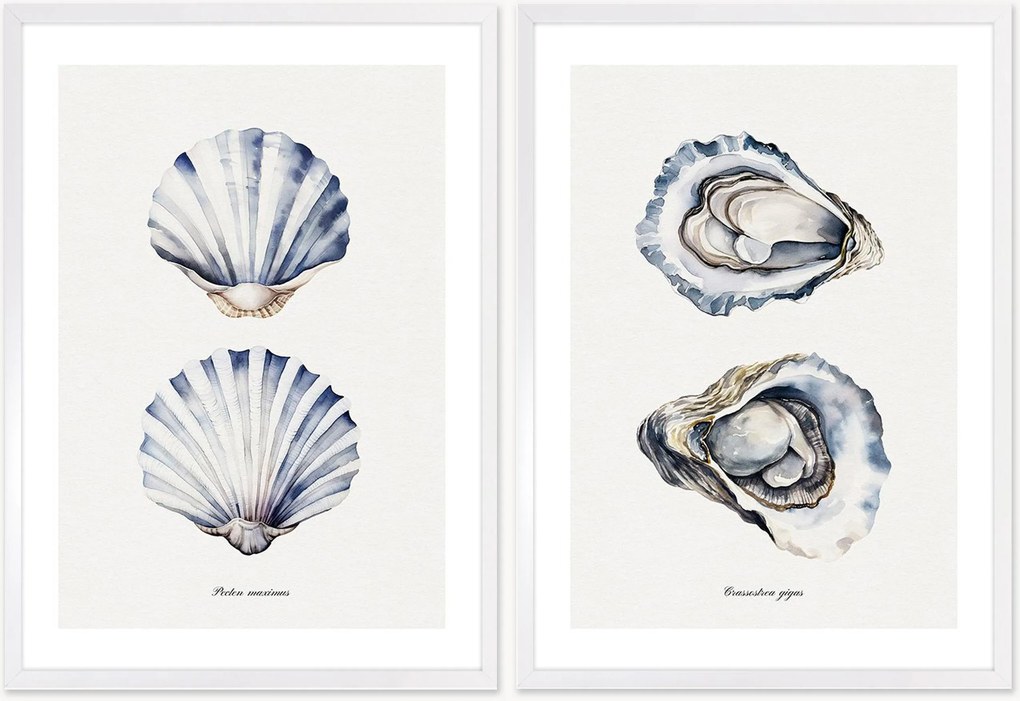Nástenné dekorácie v rámoch Oyster, 2 ks