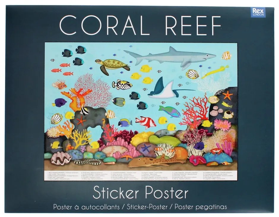 Kreatívna súprava Coral Reef – Rex London