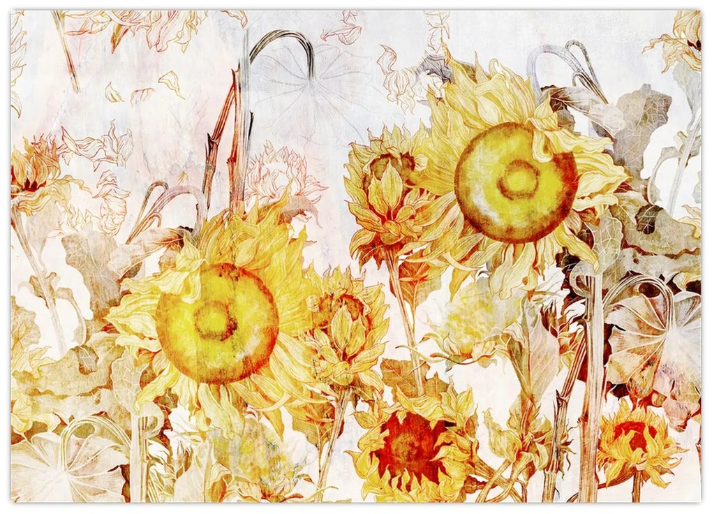 Obraz - Slnečnica, maľba (70x50 cm)