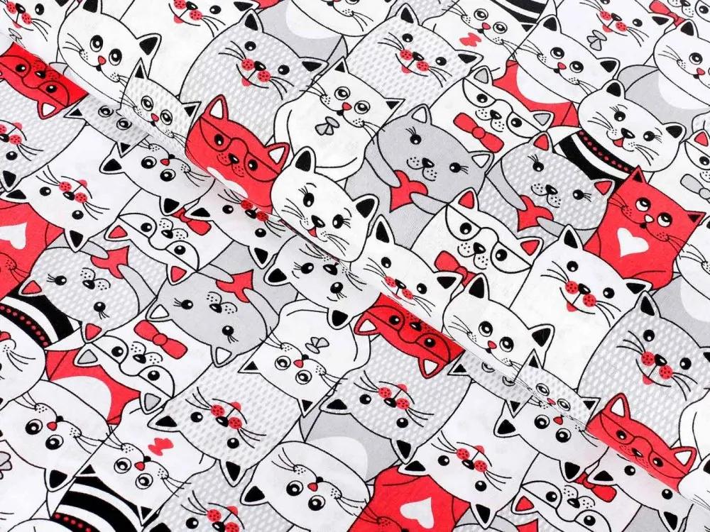 Biante Detské bavlnené posteľné obliečky do postieľky Sandra SA-037 Mačky z komiksu Do postieľky 100x135 a 40x60 cm