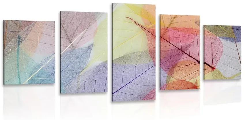 5-dielny obraz žilky na farebných listoch Varianta: 200x100