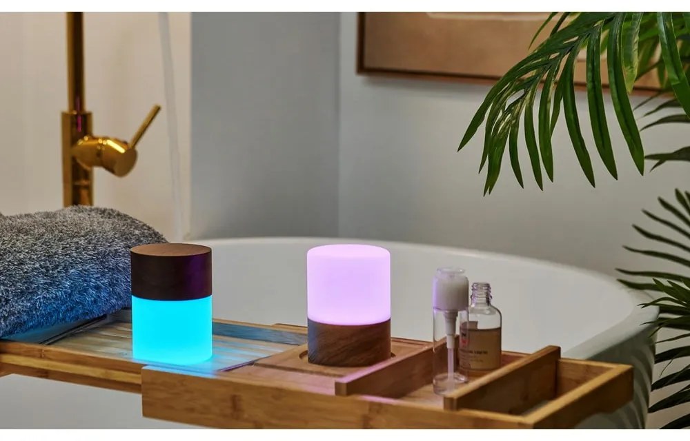 Stmievateľná stolová lampa v prírodnej farbe so skleneným tienidlom (výška 10,5 cm) Lemelia - Gingko