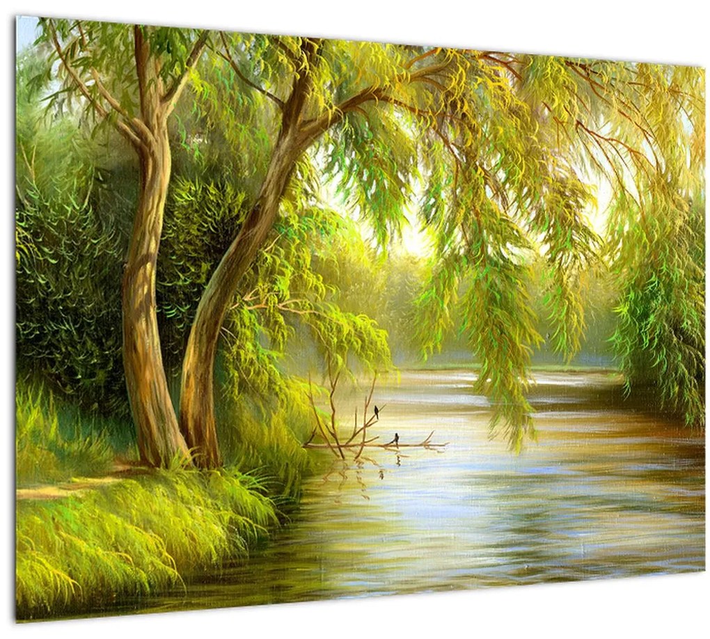 Obraz - Vŕba pri jazere, olejomaľba (70x50 cm)