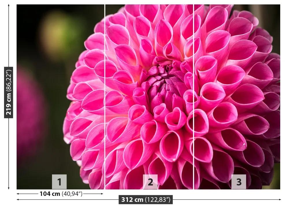 Fototapeta Vliesová Dahlia pink 208x146 cm