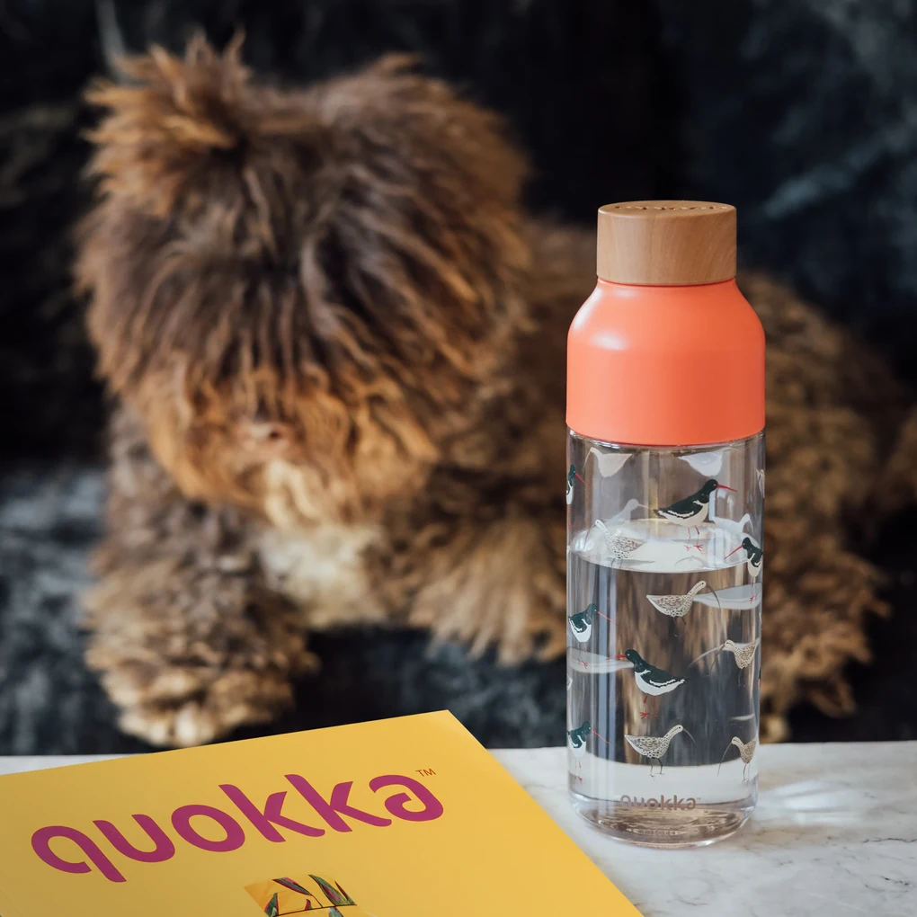Plastová fľaša Ice Birds 720 ml