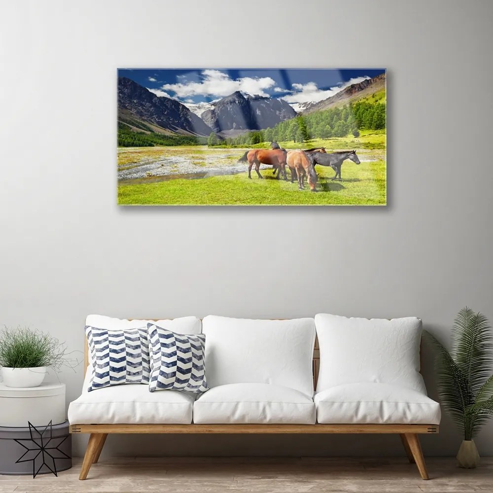 Skleneny obraz Hory stromy kone zvieratá 100x50 cm