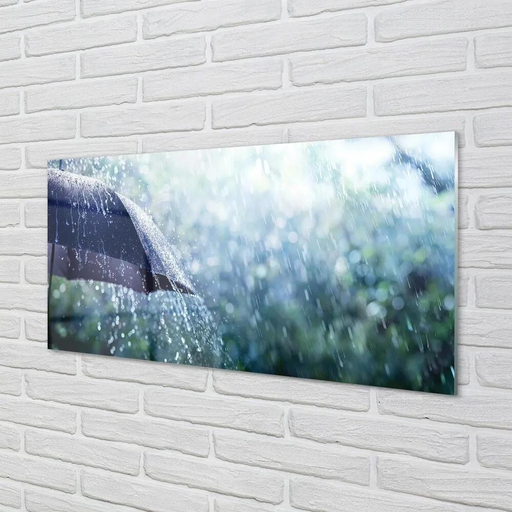 Obraz na skle Umbrella dažďovej kvapky 120x60 cm