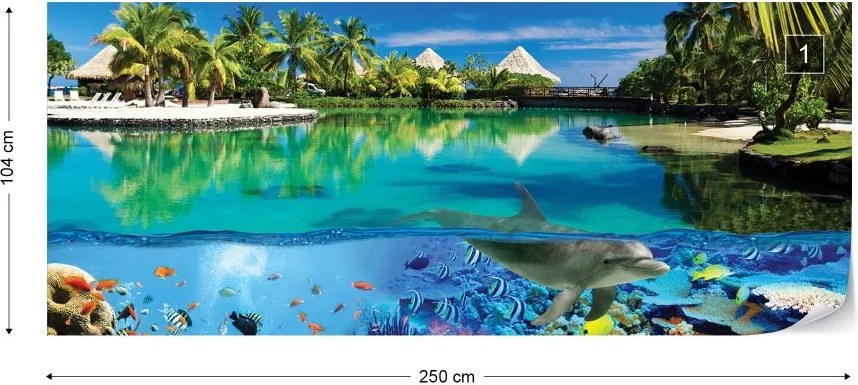 Fototapeta GLIX - Tropical Island Paradise Dolphins Coral Reef + lepidlo ZADARMO Vliesová tapeta  - 250x104 cm