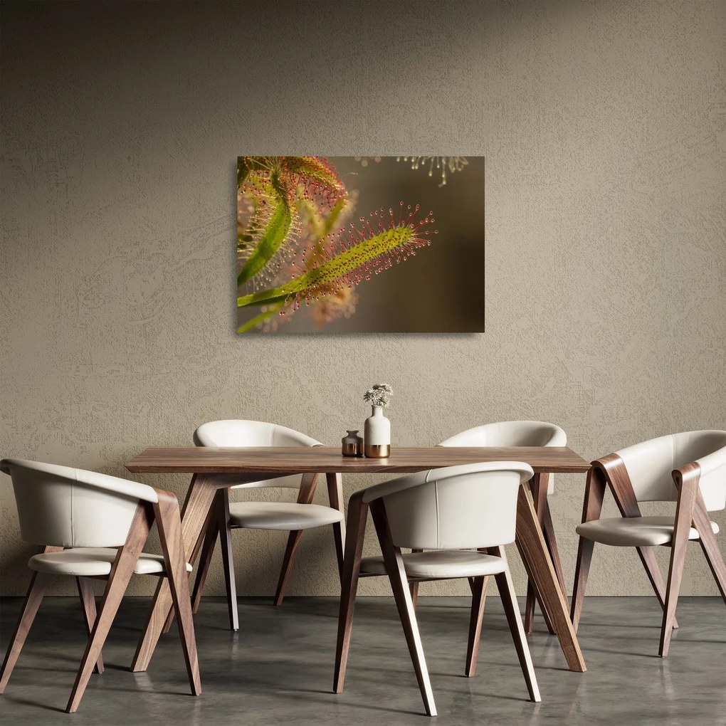 Sklenený obraz rastliny (70x50 cm)