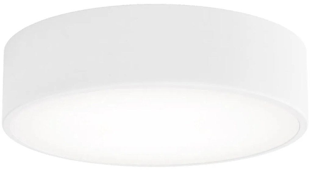 LED Stropné svietidlo CLEO LED/24W/230V 3000K pr. 30 cm biela