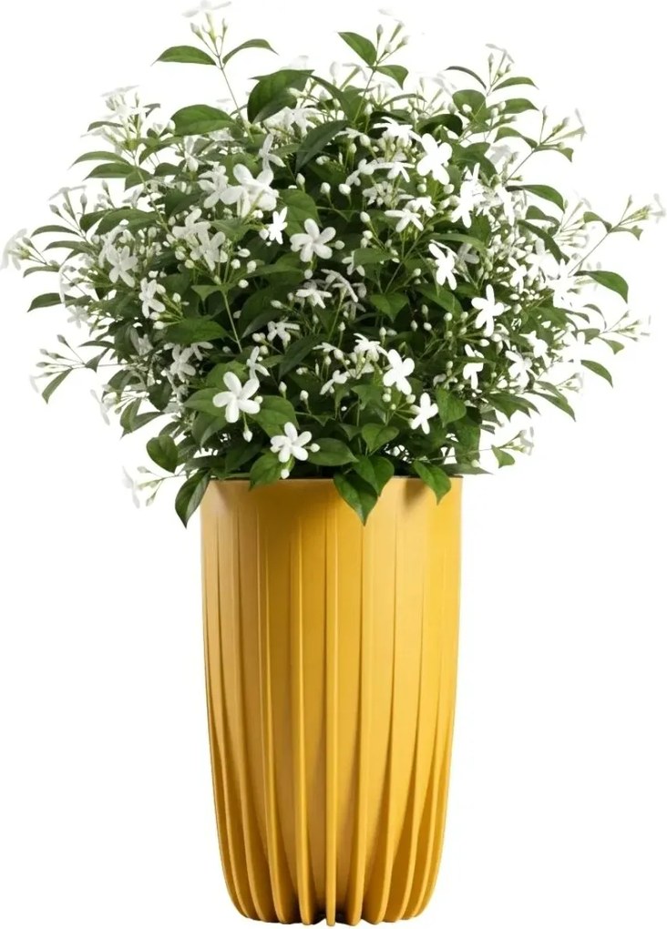 Sada 2 ks květináčů Stripped Eco hořčicová