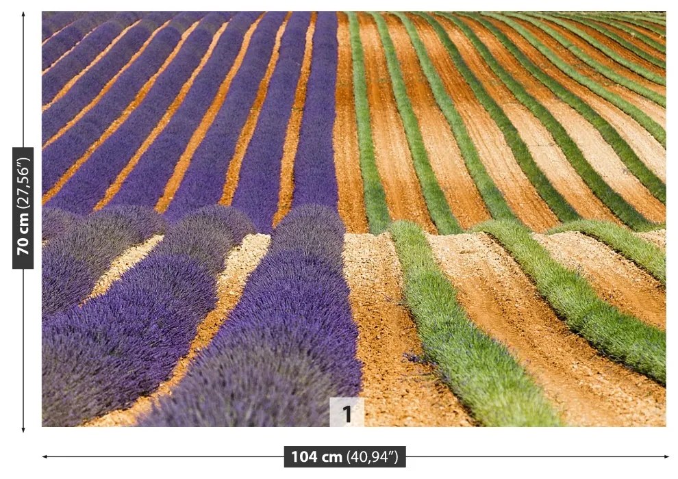 Fototapeta Vliesová Provence francúzsko 152x104 cm