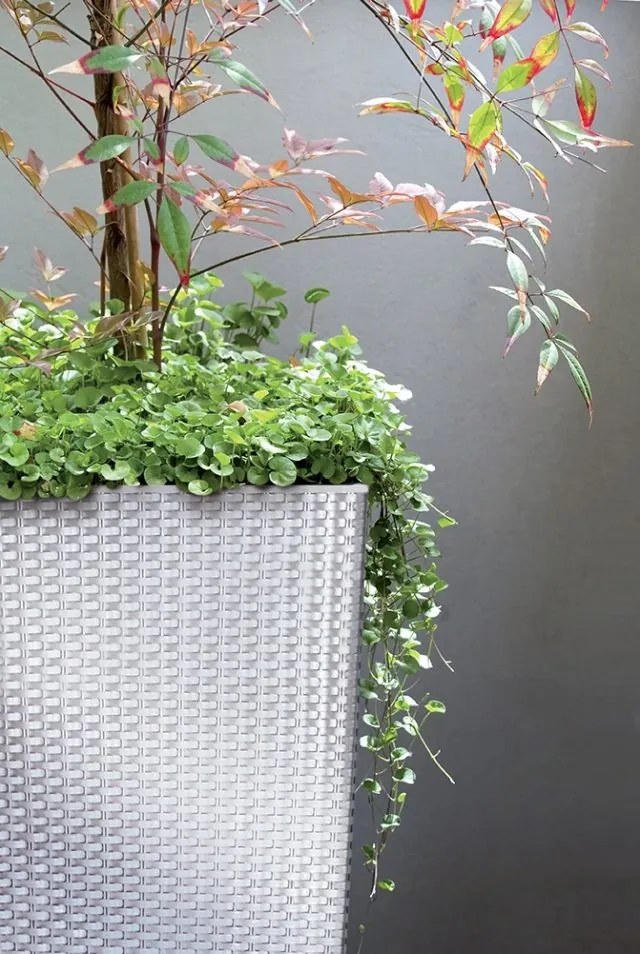 Kvetináč Rato Champaing svetlo hnedý