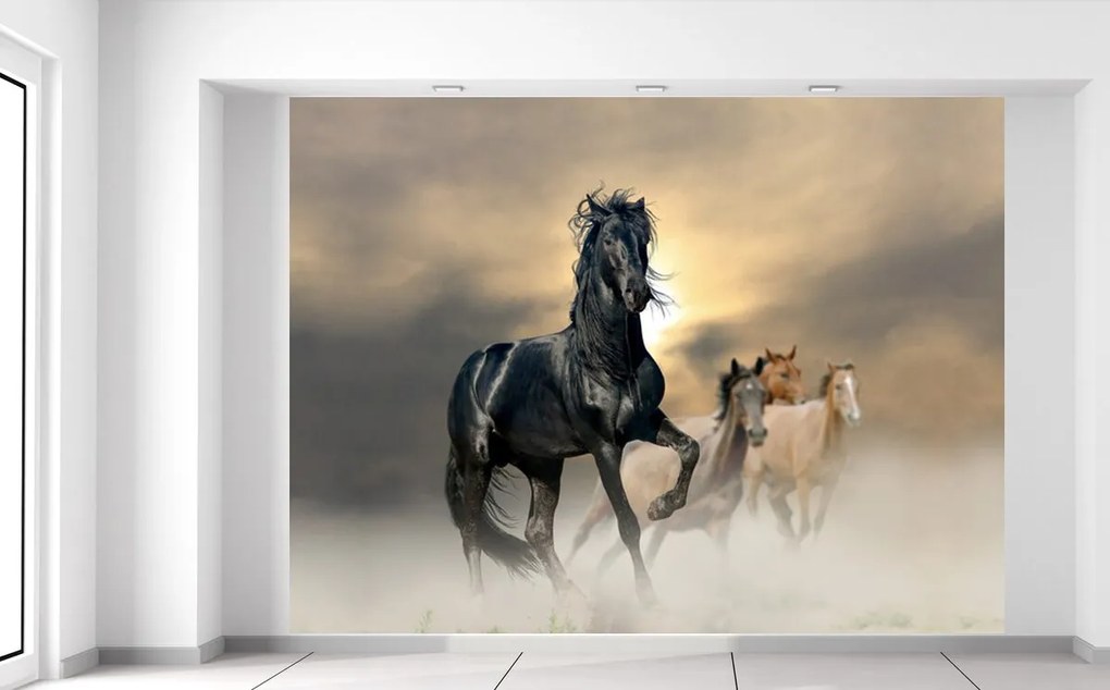 Gario Fototapeta Nádherný čierny kôň Materiál: Samolepiaca, Rozmery: 200 x 135 cm