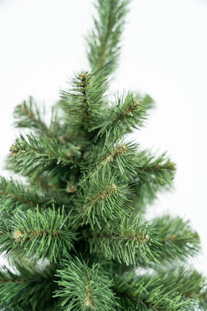 Limpol Jedľa Karolina 2,20 m