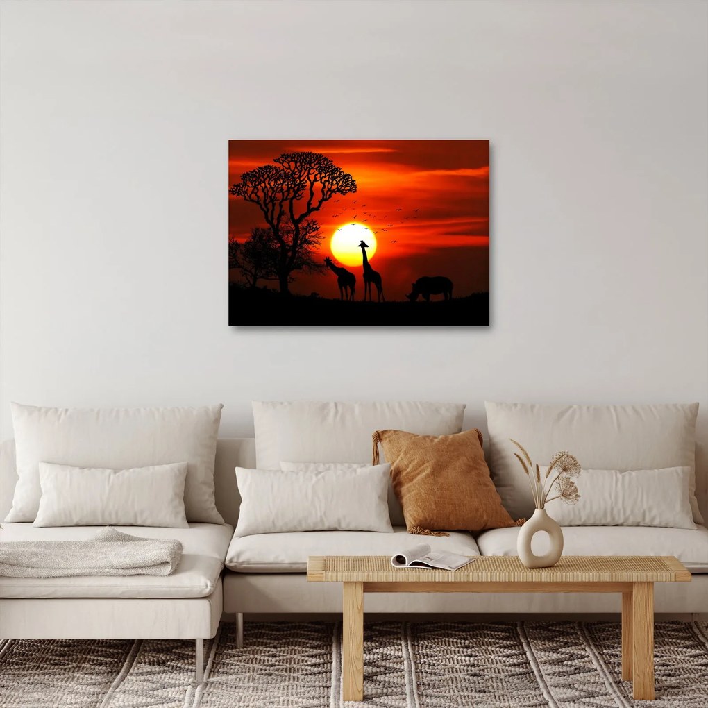 Obraz - Siluety zvierat pri západe slnka (70x50 cm)