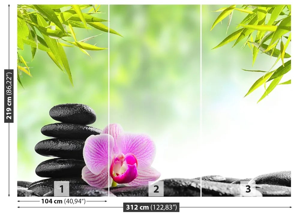 Fototapeta Vliesová Orchidea a kamene 208x146 cm