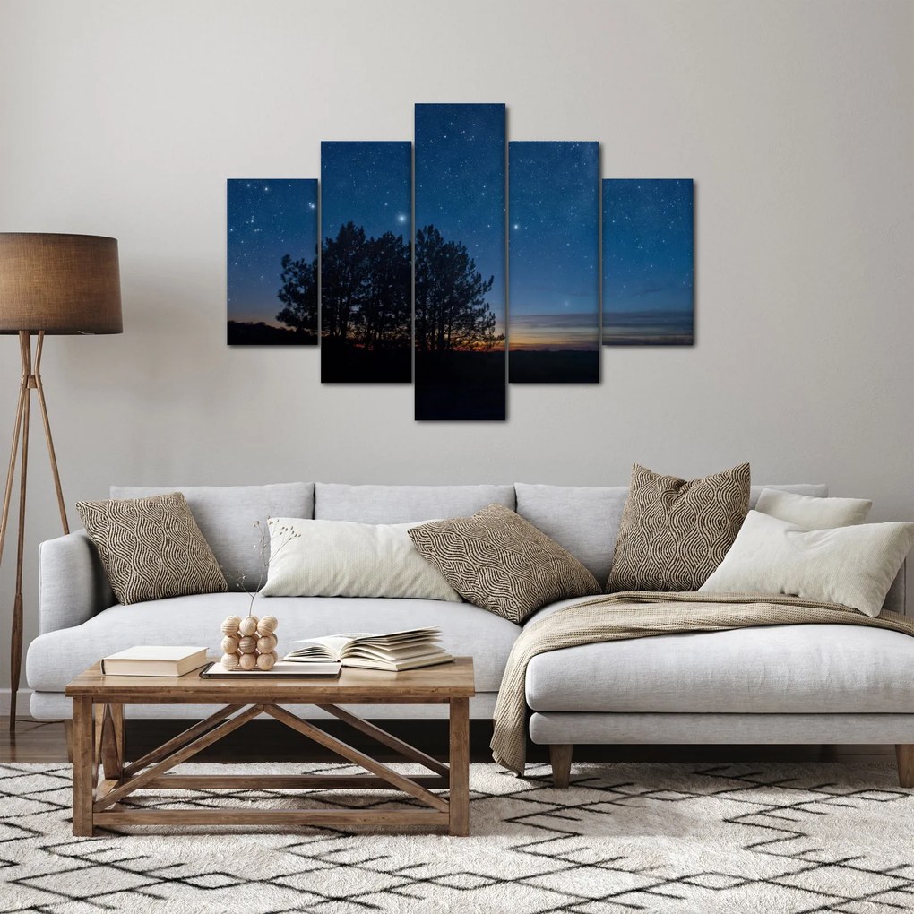 Obraz stromov v noci (150x105 cm)
