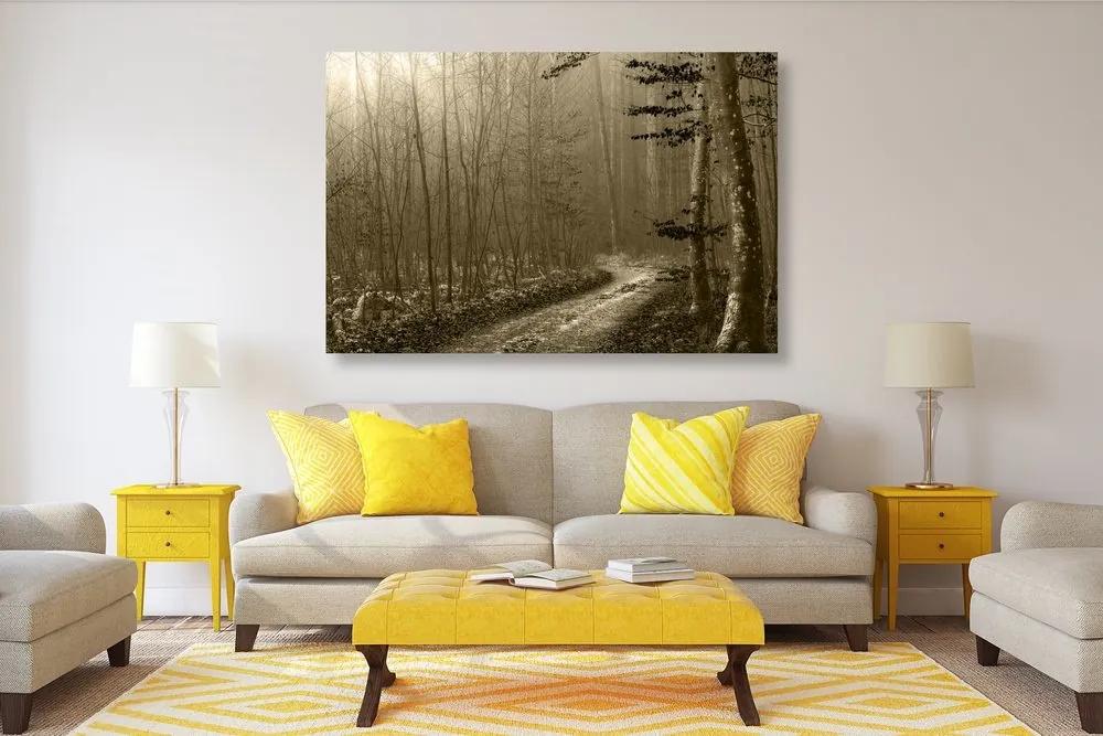 Obraz sépiová cestička do lesa - 90x60