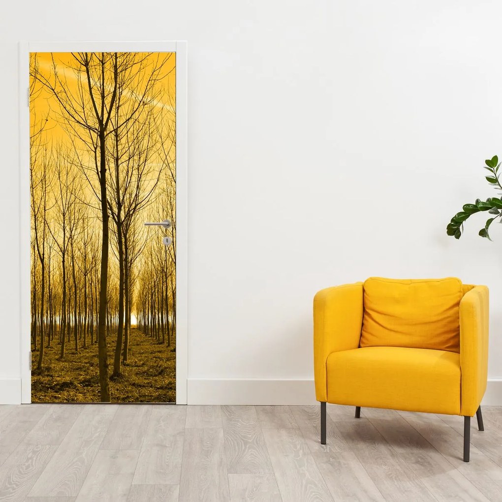 Fototapeta na dvere - Plantáž stromov (95x205cm)