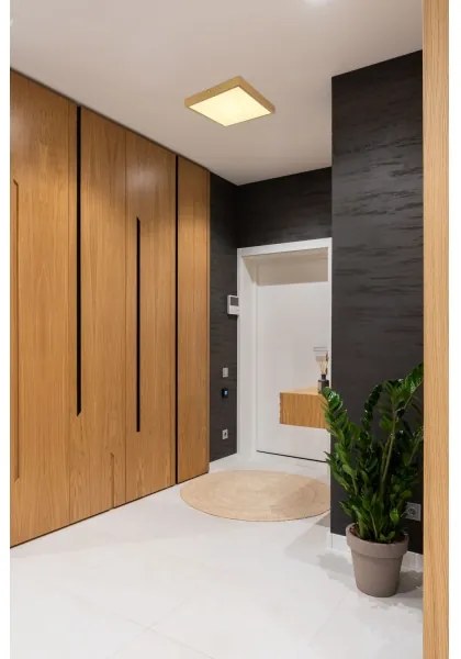 Globo 12382-22 - LED Stropné svietidlo TIBEY LED/22W/230V 35x35 cm