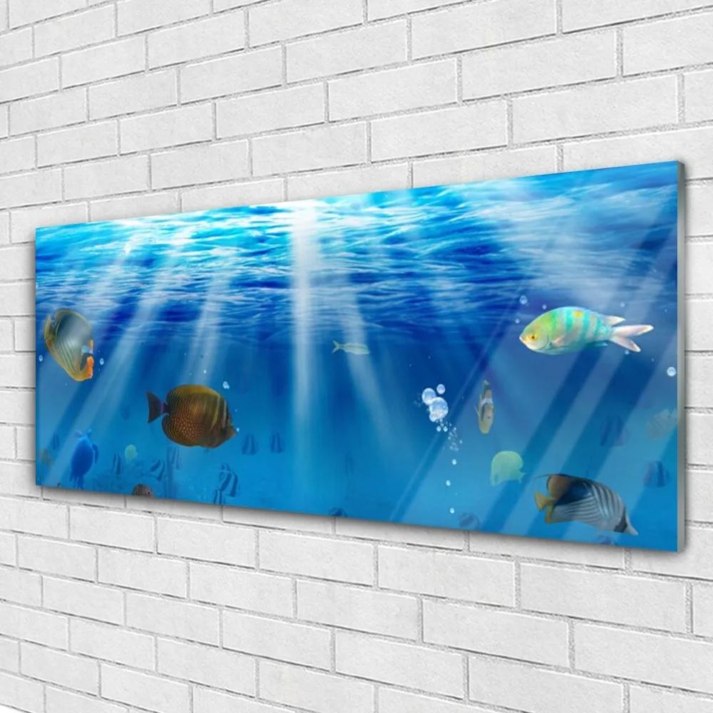 Obraz na akrylátovom skle Ryba príroda 125x50 cm
