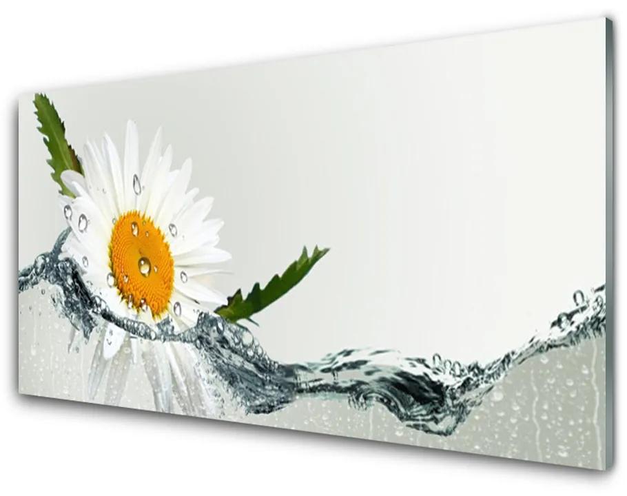 Obraz plexi Sedmokráska vo vode 140x70 cm