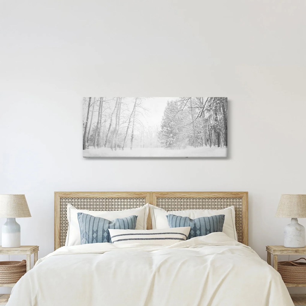 Obraz - Drevené mólo v zime (120x50 cm)