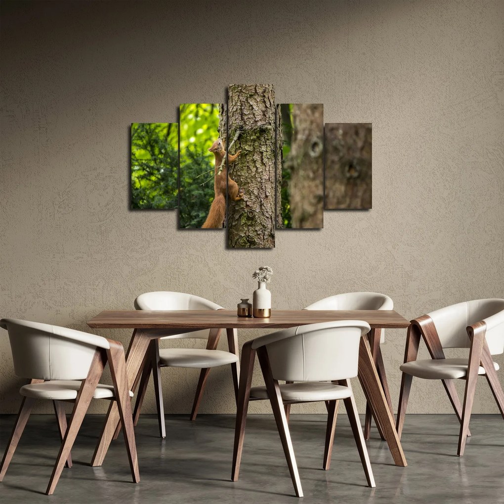 Obraz - Veverička (150x105 cm)