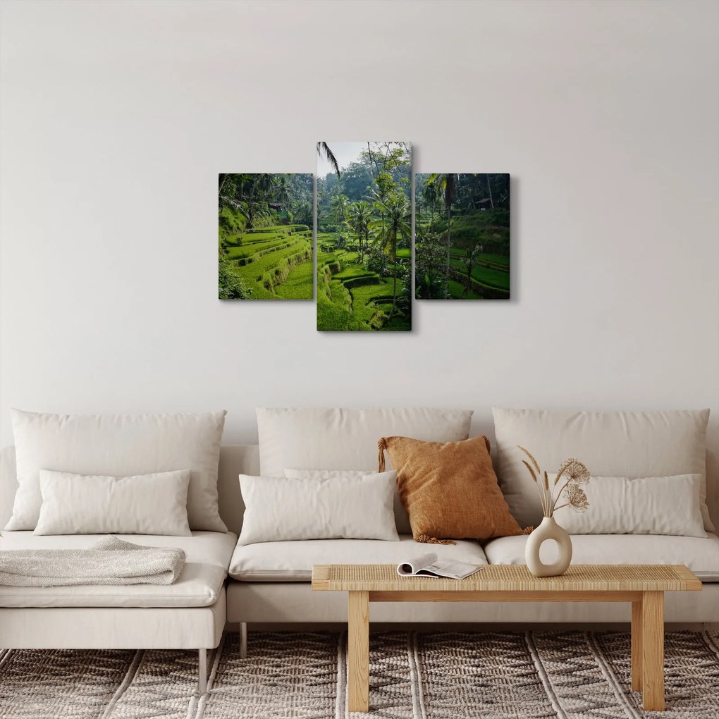 Obraz ryžových terás Tegalalang, Bali (90x60 cm)