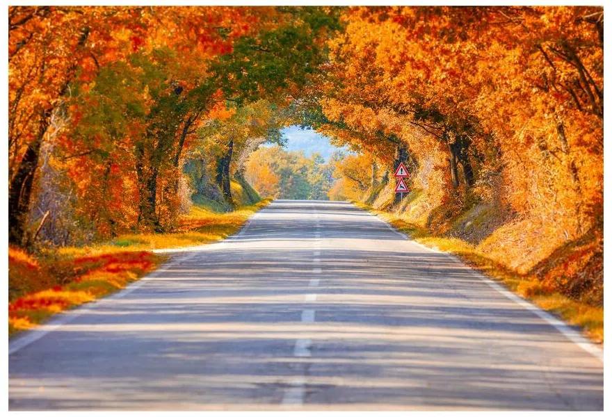 Fototapeta Vliesová Cesty na jeseň 312x219 cm