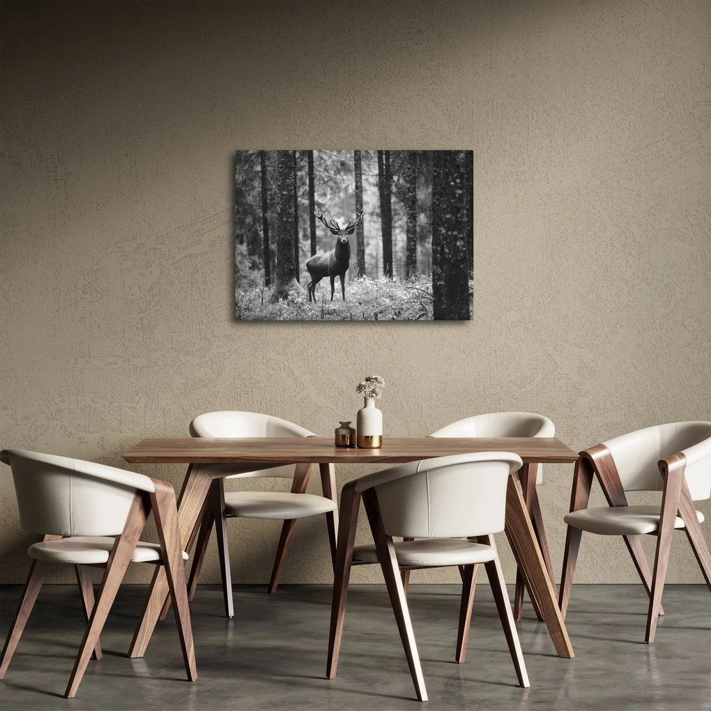 Obraz - Jeleň v lese 2, čiernobiela (70x50 cm)