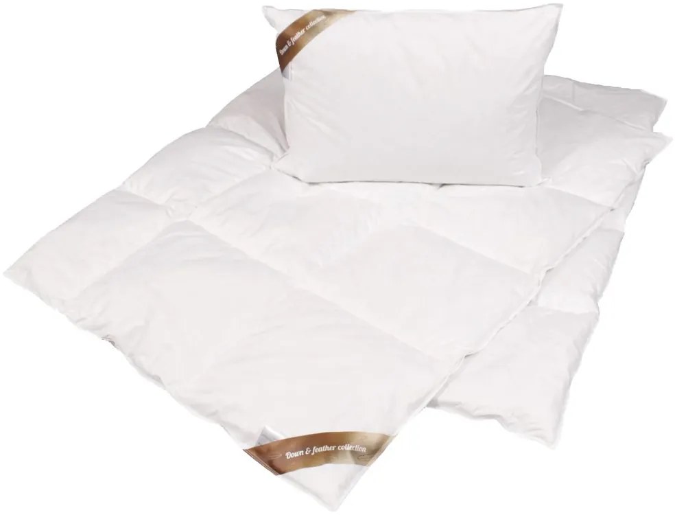 2G Lipov Súprava z peria Down & feather collection - 140x200 / 70x90 cm