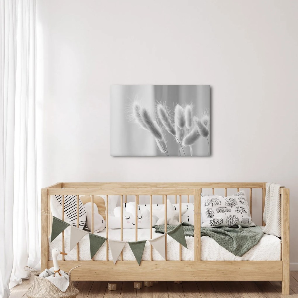 Obraz - Bunny tail grass (70x50 cm)